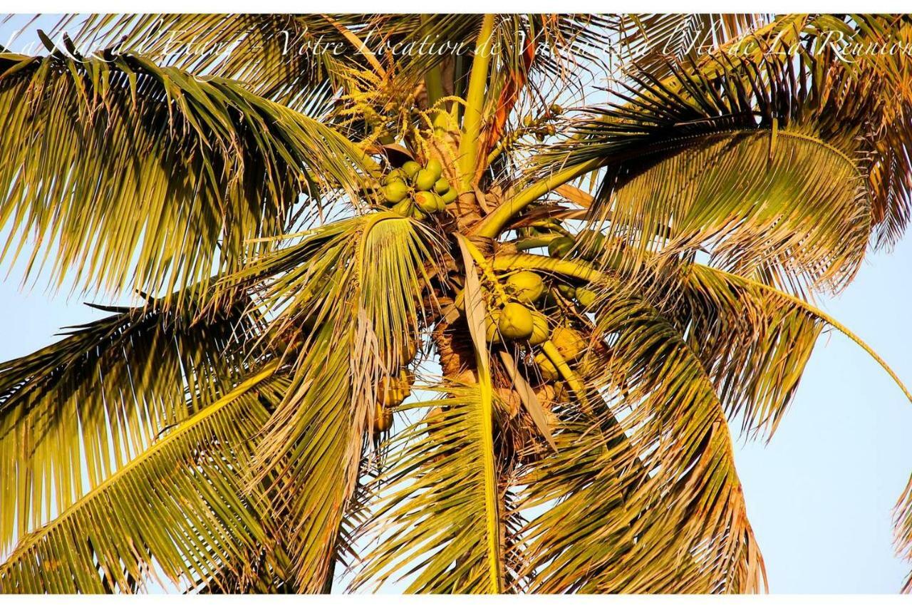 La Kaz A L'Etang - Votre Location De Vacances A L'Ile De La Reunion سانت لويس المظهر الخارجي الصورة