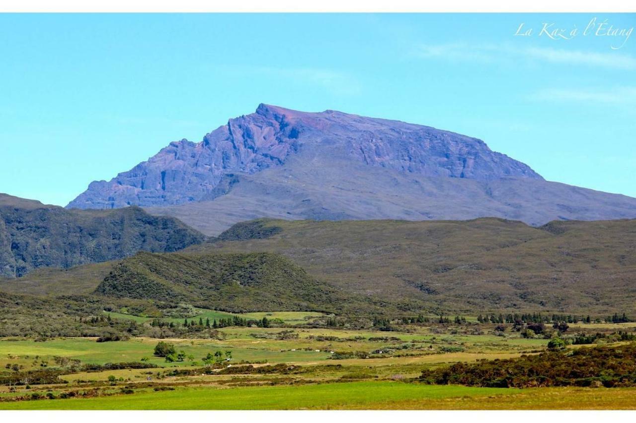 La Kaz A L'Etang - Votre Location De Vacances A L'Ile De La Reunion سانت لويس المظهر الخارجي الصورة