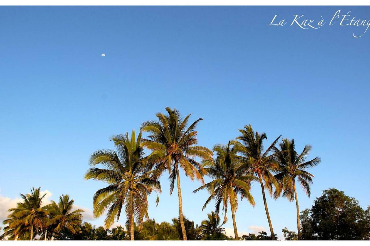 La Kaz A L'Etang - Votre Location De Vacances A L'Ile De La Reunion سانت لويس المظهر الخارجي الصورة